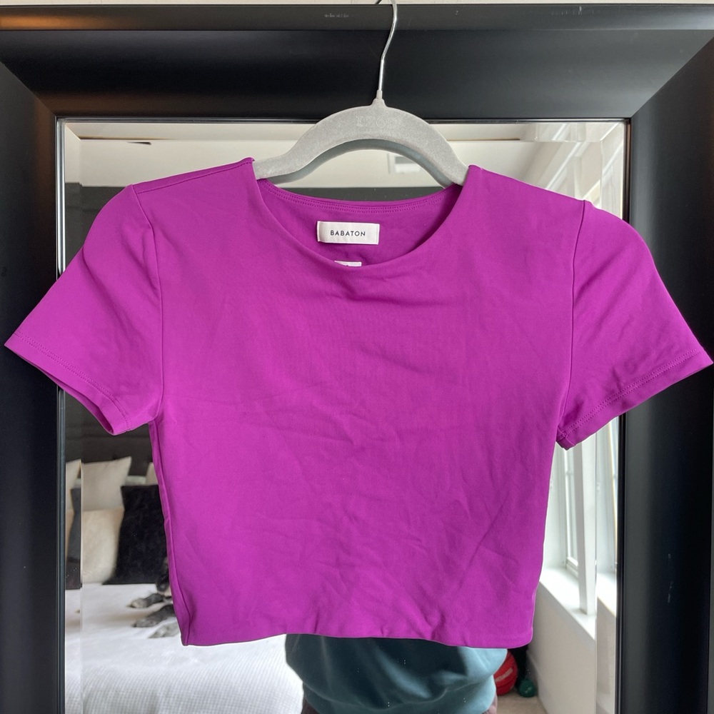 Aritzia Babaton Contour Cropped Tee